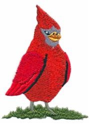 Vibrant cardinal with a colorful beak and blue facial accents, perched on lush green grass.