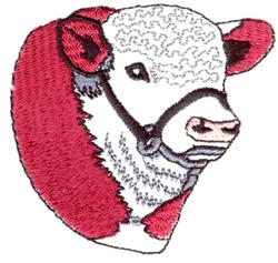 Cow Head
