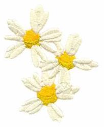 Daisies with bright white petals and sunny yellow centers in a cheerful spring design. Perfect for floral decor.