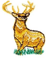 Realistic standing deer with golden-brown fur and detailed antlers, set on green grass in a rustic style.
