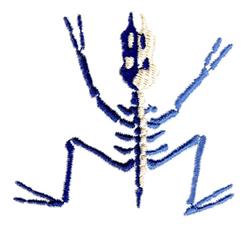 Dino Skeleton