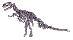 Dinosaur Skeleton