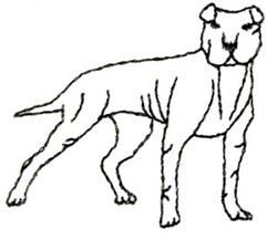 Dog silhouette in simple line art, featuring a muscular outline in black on a white background, suitable for embroidery.
