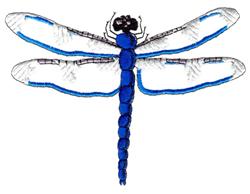 Colorful dragonfly with a vibrant blue body, transparent wings, and a contrasting black head, FSL style.