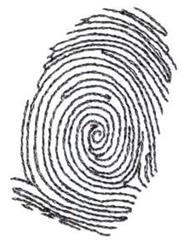 quick stitch fingerprint machine embroidery pattern - Fingerprint for decorative pillow covers