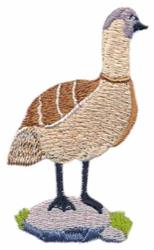 Realistic goose with brown and cream feathers, black legs, and grey head, standing on rocky ground with green grass.