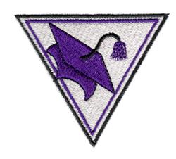Graduation cap in vibrant purple with a detailed tassel, framed in a triangular shape, modern style.