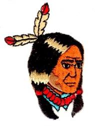 chief beginner-friendly machine embroidery - Indian Chief for reusable tote bags