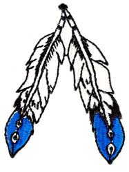 Indian Feathers