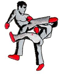 Karate Kicks