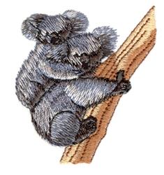 Koalas
