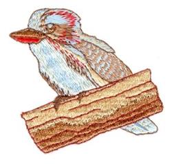 Kookaburra
