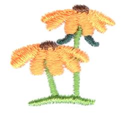 Mini Daisy Duo