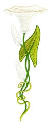 detailed moonflower machine embroidery pattern - Moonflowers perfect for kitchen aprons