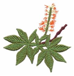 beginner-friendly autumn tree machine embroidery pattern - Ohio - Buckeye for Table Linens