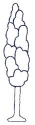 quick stitch tree redwork machine embroidery pattern - Poplar Tree for patchwork quilt blocks