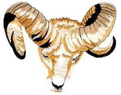 Realistic ram portrait featuring detailed spiraled horns, intense gaze, and textured fur for embroidery design.