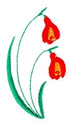 Vibrant red flowers with yellow accents and green leaves. Perfect for spring floral projects.