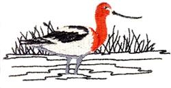 Shorebird with a red head and black and white body standing in shallow water, reflecting against a minimalist background.