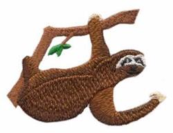 Sloth On Branch