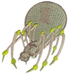 Realistic spider with a round green body, textured light tan legs, and vivid green-tipped legs.