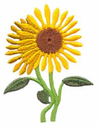 sunflower detailed machine digital embroidery - Sunflowers perfect for kitchen aprons