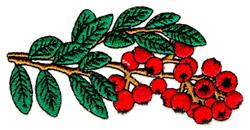 detailed berrie machine embroidery pattern - Wild Berries for decorative pillow covers