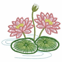 waterlily様 pdxc19550-japanese-water-lily-