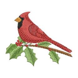 Cardinal Embroidery & Screen Printing