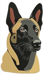 Realistic Belgian Malinois head with large ears and detailed black and tan fur textures, suited for machine embroidery.