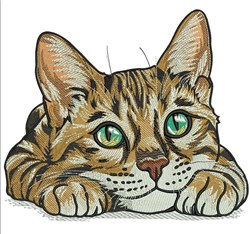 detailed kitten machine embroidery pattern - Bengal Cat perfect for kitchen tea towels