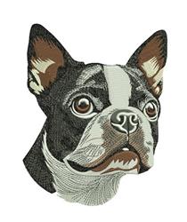 detailed puppy dog machine embroidery pattern - Boston Terrier for reusable tote bags