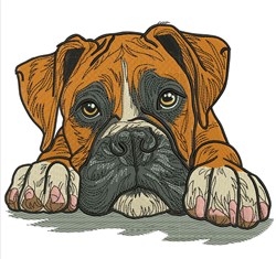 detailed puppy dog machine embroidery pattern - Boxer Dog for kitchen tea towels