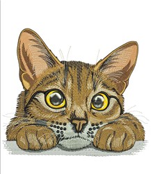 Cute abyssinian cat - 4x4 kitten detailed embroidery design for decorative pillow covers