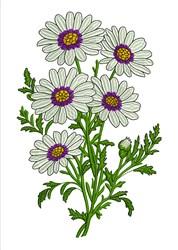 detailed daisy machine embroidery pattern - Daisy Blooms perfect for reusable tote bags