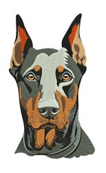 puppy dog detailed machine embroidery - Doberman Pinscher perfect for kitchen aprons