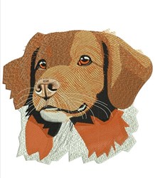 Realistic dog portrait featuring a detailed head, expressive eyes, and rich brown-orange fur textures.