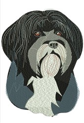 Realistic dog portrait of a long-haired breed with textured fur, holding a toy in its mouth against a soft background.
