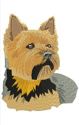 Realistic dog portrait highlighting a textured tan and gray fur, attentive expression, and a sleek black collar.