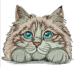 Fluffy Ragdoll Cat - 4x4 kitten detailed embroidery design for decorative pillow covers