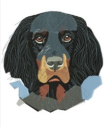 Gordon Setter portrait showing a detailed face with expressive eyes and rich fur texture, perfect for embroidery.