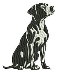 Labrador Dog - 4x4 puppy dog beginner-friendly embroidery design for Dog Tags