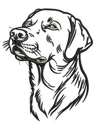 beginner-friendly puppy dog machine embroidery pattern - Labrador Outline for kitchen tea towels