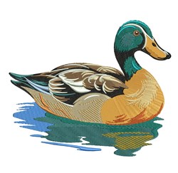 bird detailed machine digital embroidery - Mallard Duck perfect for kitchen aprons