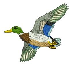 Mallard Duck - 4x4 bird detailed machine embroidery design perfect for Dog Bandanas