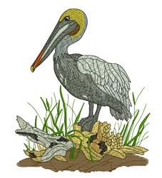 Realistic pelican with intricate feather patterns on a nest of shells and driftwood, surrounded by green grasses.