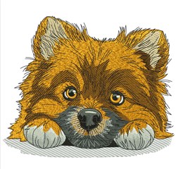 Pomeranian - 4x4 puppy dog detailed embroidery design for decorative pillow covers