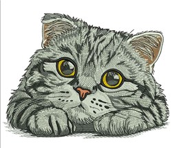 kitten detailed machine embroidery - Scottish Fold cat perfect for kitchen aprons