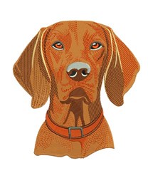 detailed puppy dog machine embroidery pattern - Vizsla perfect for kitchen aprons