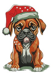Xmas Boxer